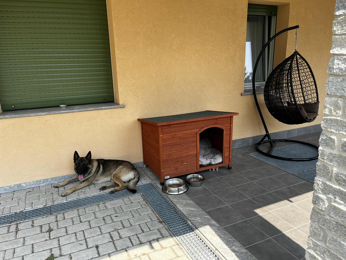 Magicview Baveno Apartment With Garden And Lake View エクステリア 写真